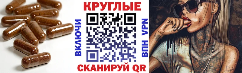 закладки  Касимов  Экстази DUBAI 