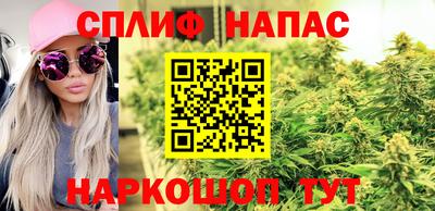 spice Гагарин