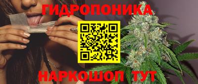 spice Гагарин