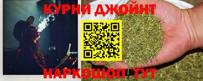 гидра Гай