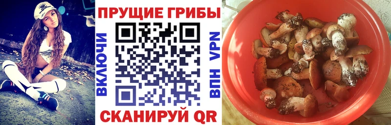 Псилоцибиновые грибы мухоморы  Касимов 