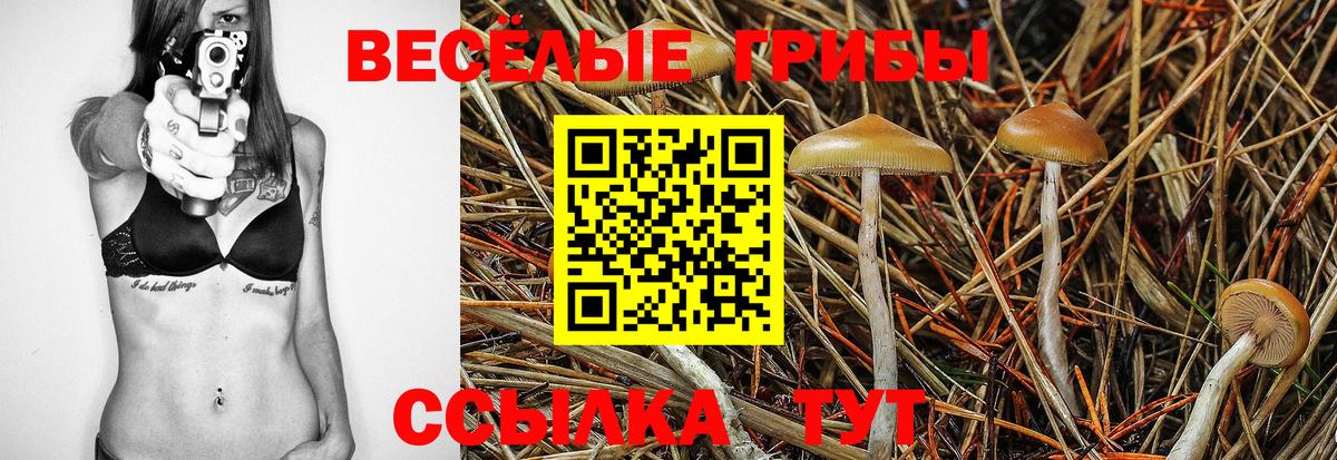 Галлюциногенные грибы мухоморы Касимов