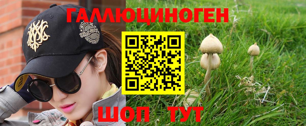 Касимов  Галлюциногенные грибы мухоморы  Вход с VPN 